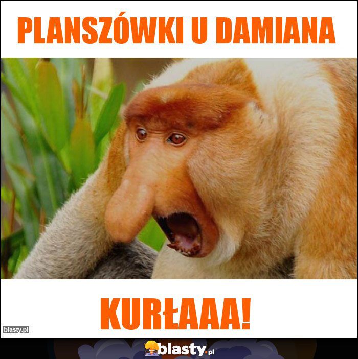 Planszówki u Damiana