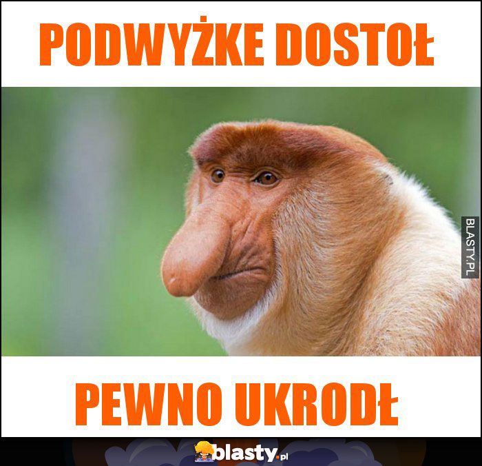 podwyżke dostoł