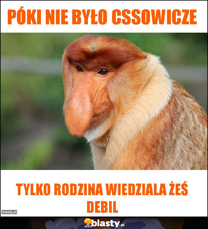 Póki nie było cssowicze