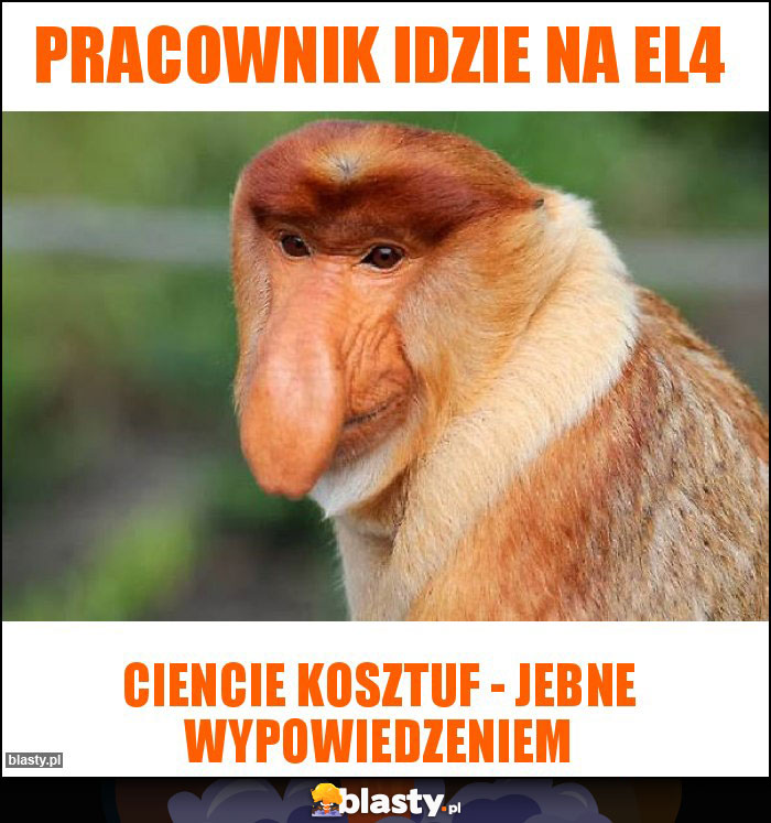 pracownik idzie na el4