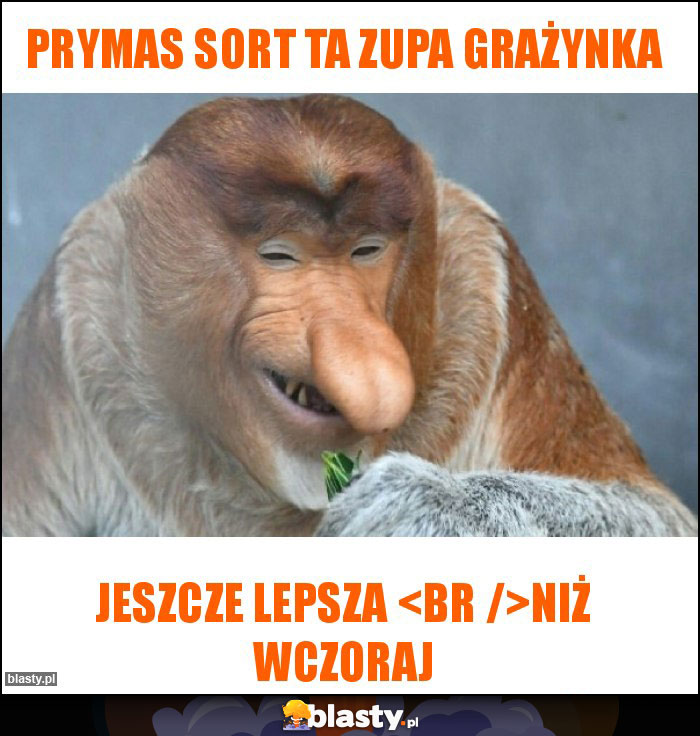 Prymas Sort ta zupa Grażynka