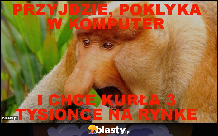 Przyjdzie, poklyka w komputer