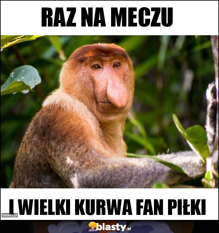 RAZ NA MECZU