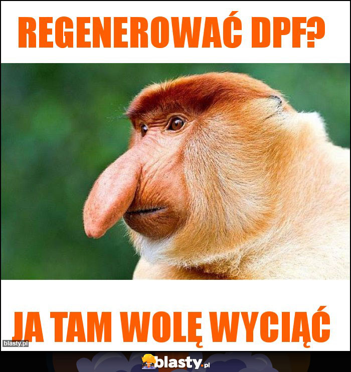 regenerować dpf?