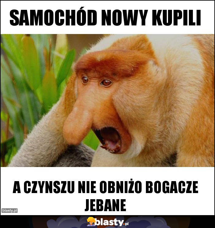 Samochód nowy kupili