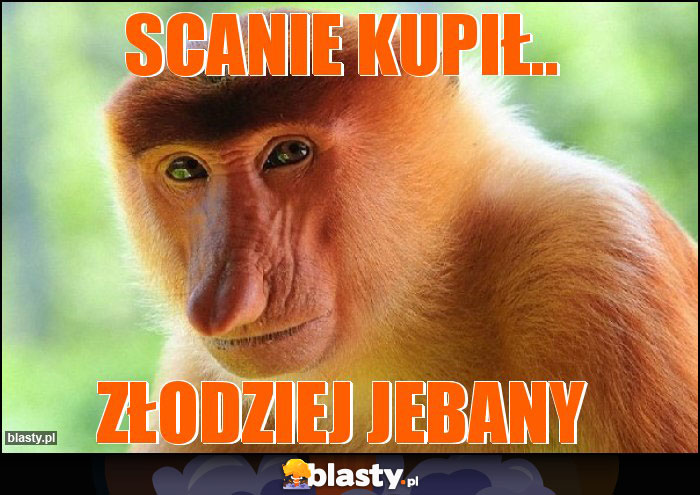 Scanie kupił..