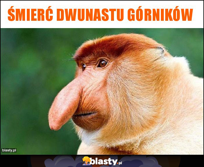 ŚMIERĆ DWUNASTU GÓRNIKÓW