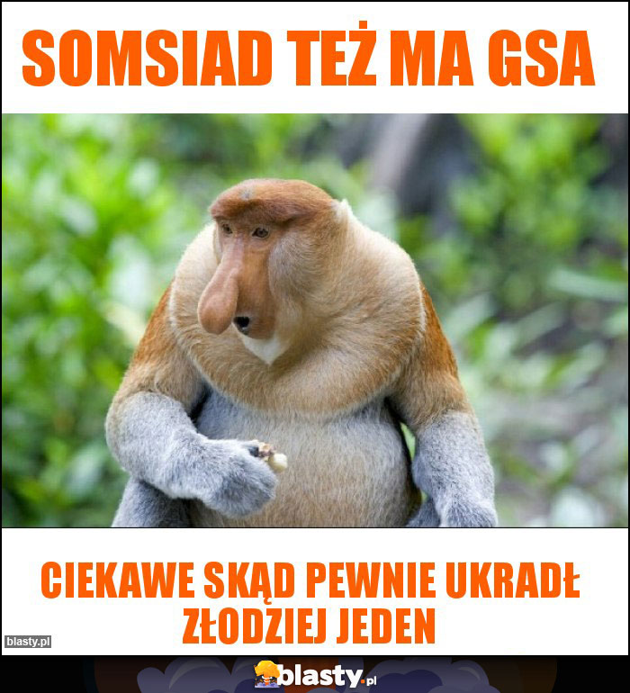 Somsiad też ma GSa