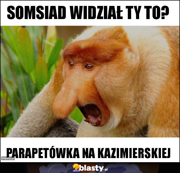 somsiad widział ty to?