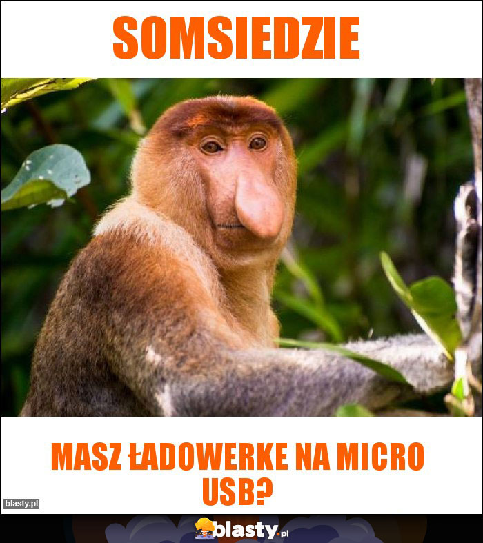 Somsiedzie