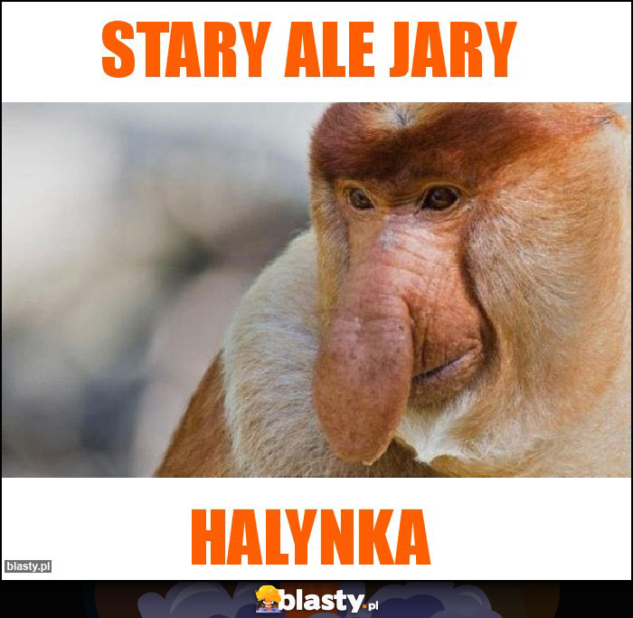 Stary ale jary