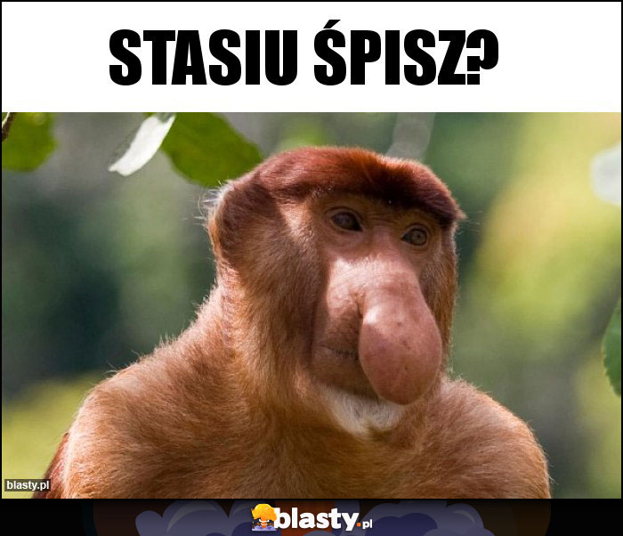 Stasiu Śpisz?