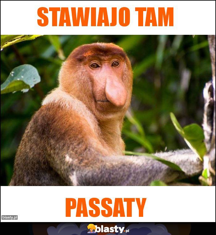 STAWIAJO TAM