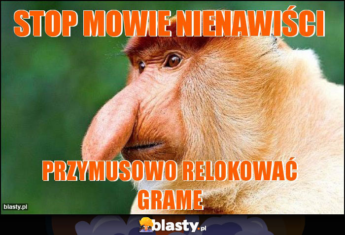 stop mowie nienawiści