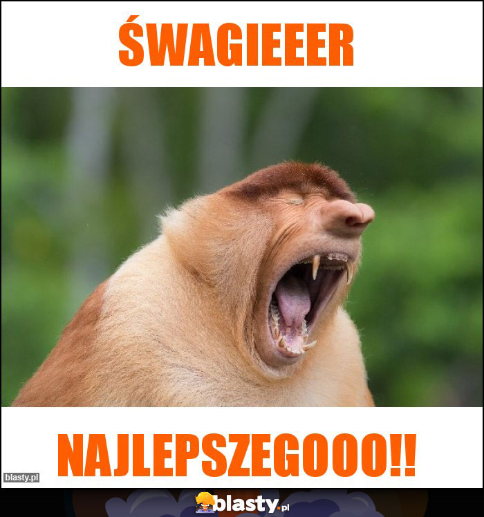 Śwagieeer