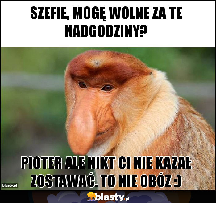 Szefie, mogę wolne za te nadgodziny?