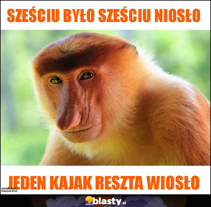 Sześciu było sześciu niosło