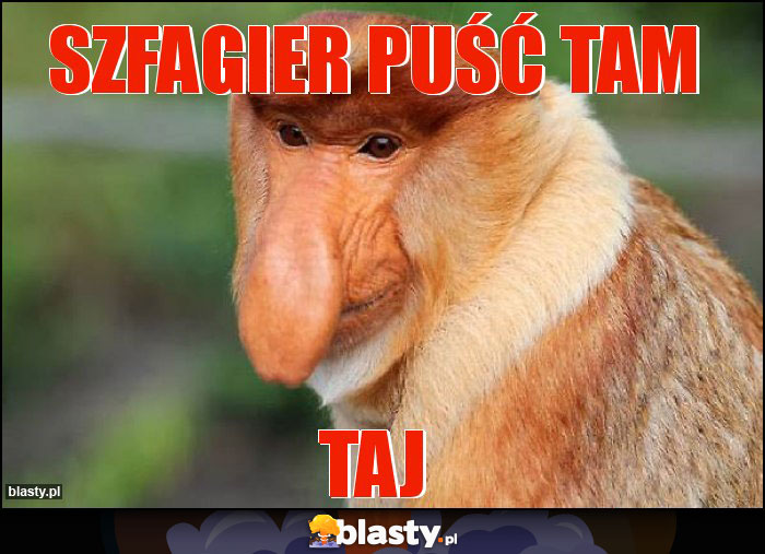 Szfagier puść tam