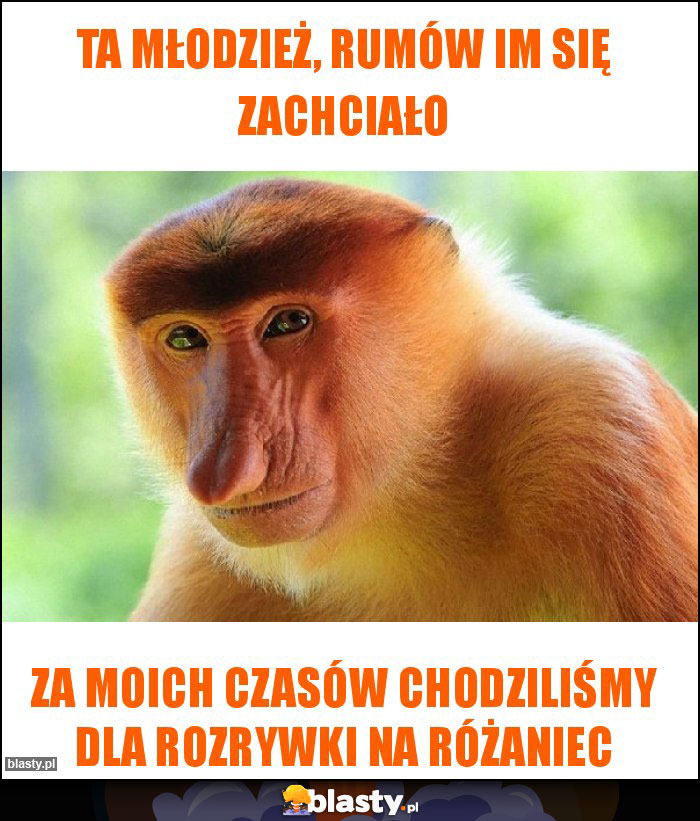 Ta młodzież, rumów im się zachciało