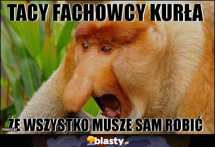 tacy fachowcy kurła