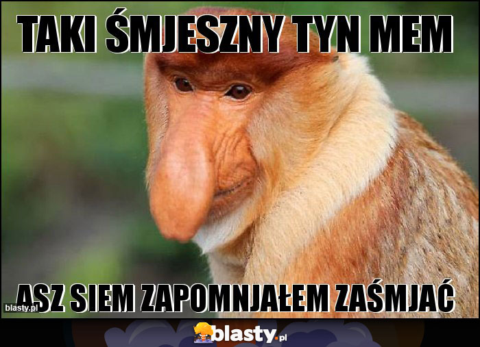 TAKI ŚMJESZNY TYN MEM