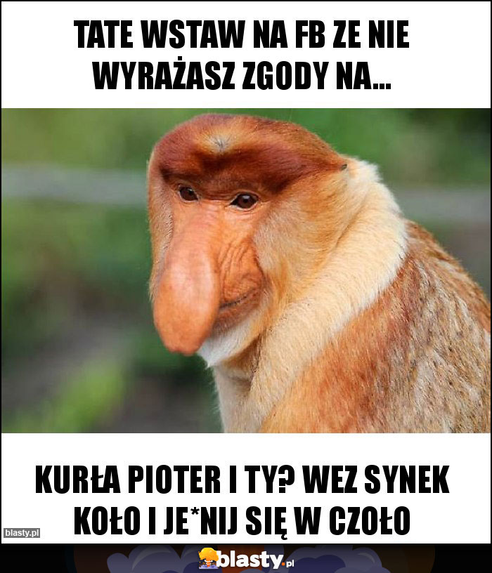 Tate wstaw na fb ze nie wyrażasz zgody na...