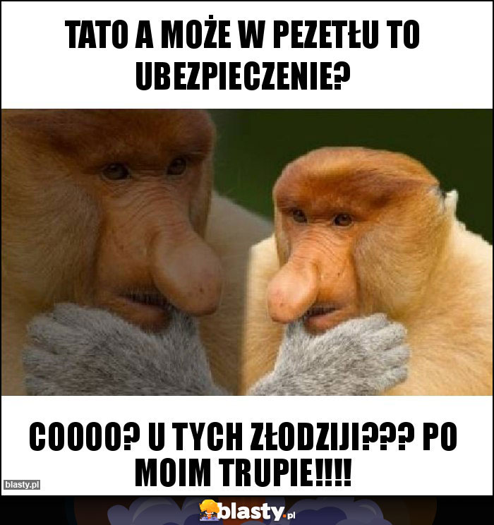 Tato a może w Pezetłu to ubezpieczenie?