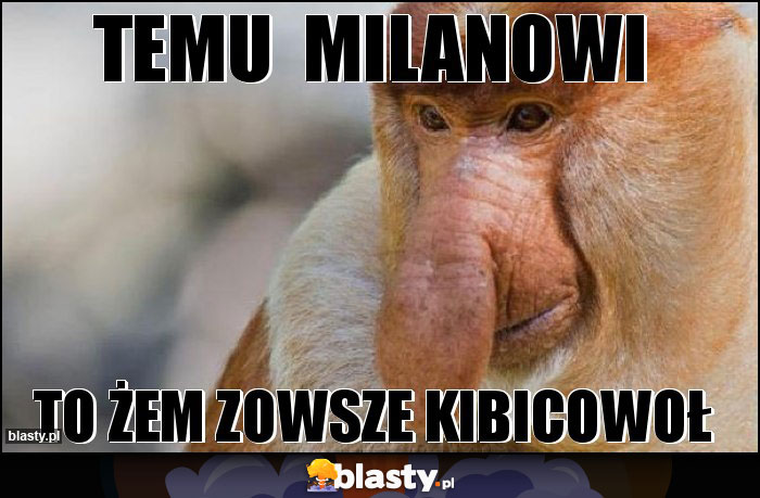 temu  milanowi