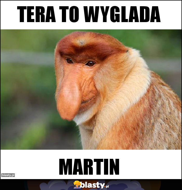 Tera to wyglada