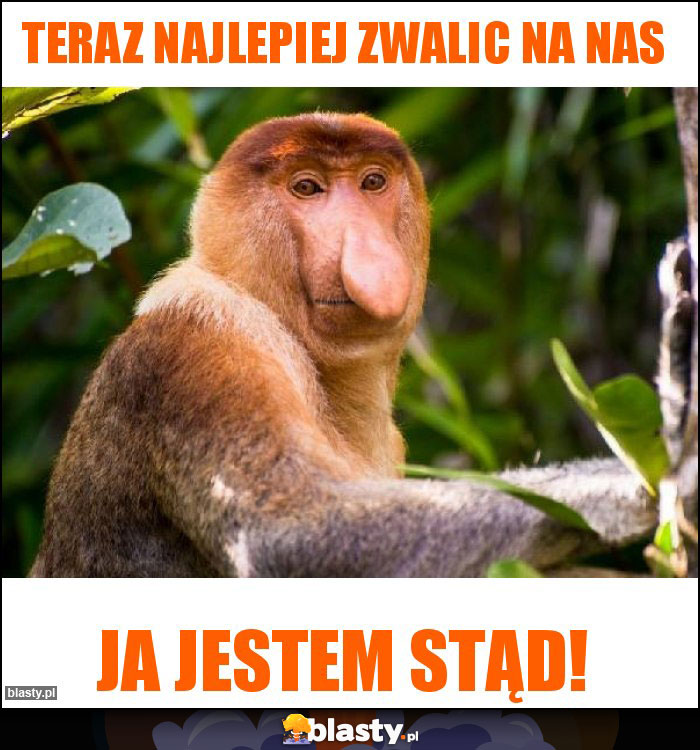 Teraz najlepiej zwalic na Nas