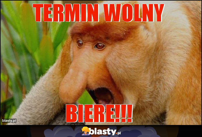 termin wolny