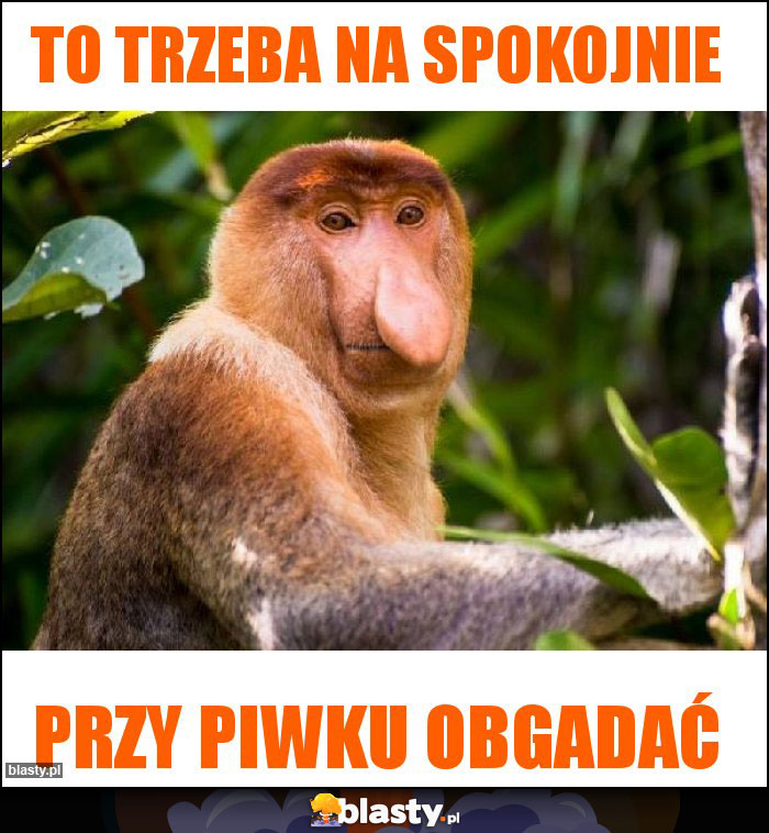 To trzeba na spokojnie