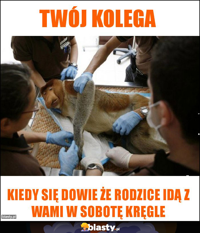 Twój kolega