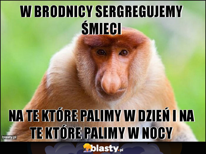 W BRODNICY SERGREGUJEMY ŚMIECI