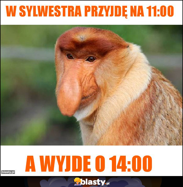 w sylwestra przyjdę na 11:00