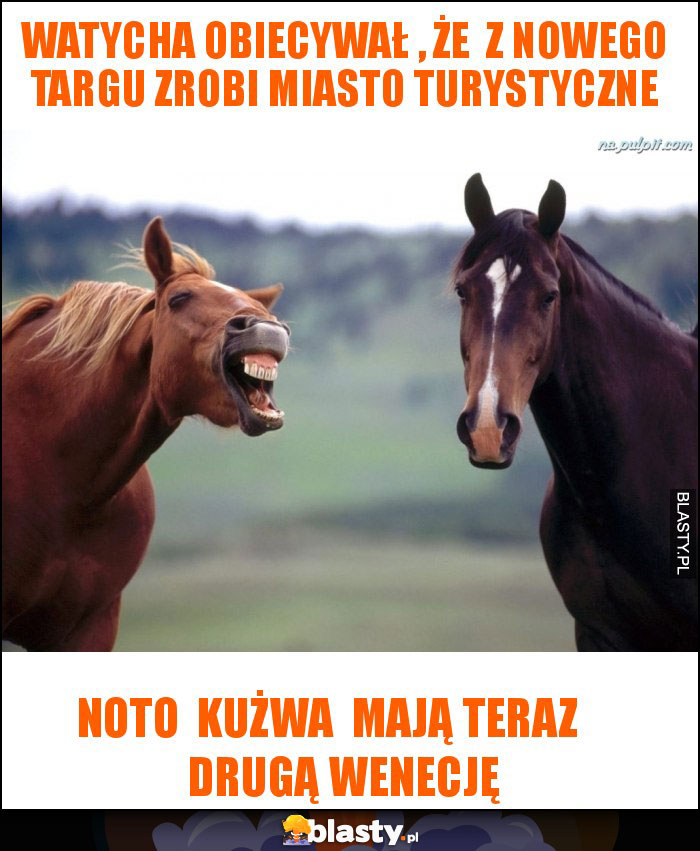 watycha obiecywał , że  z nowego targu zrobi miasto turystyczne