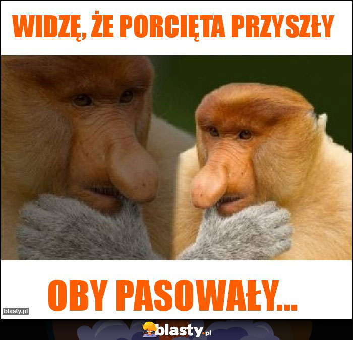 Widzę, że porcięta przyszły