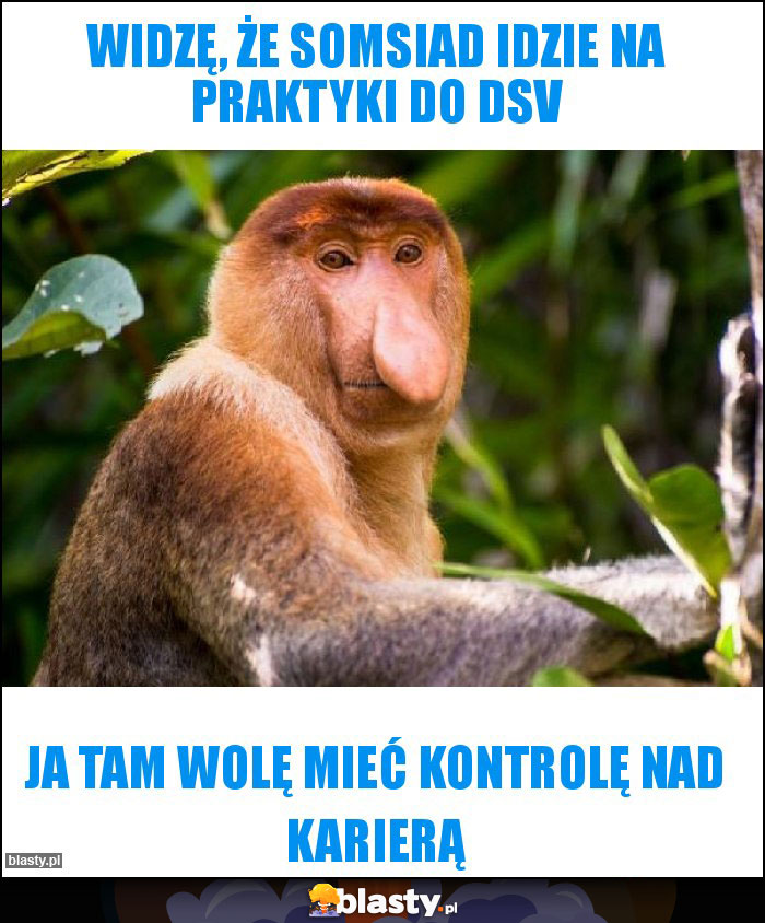 WIDZĘ, ŻE SOMSIAD IDZIE NA PRAKTYKI DO DSV