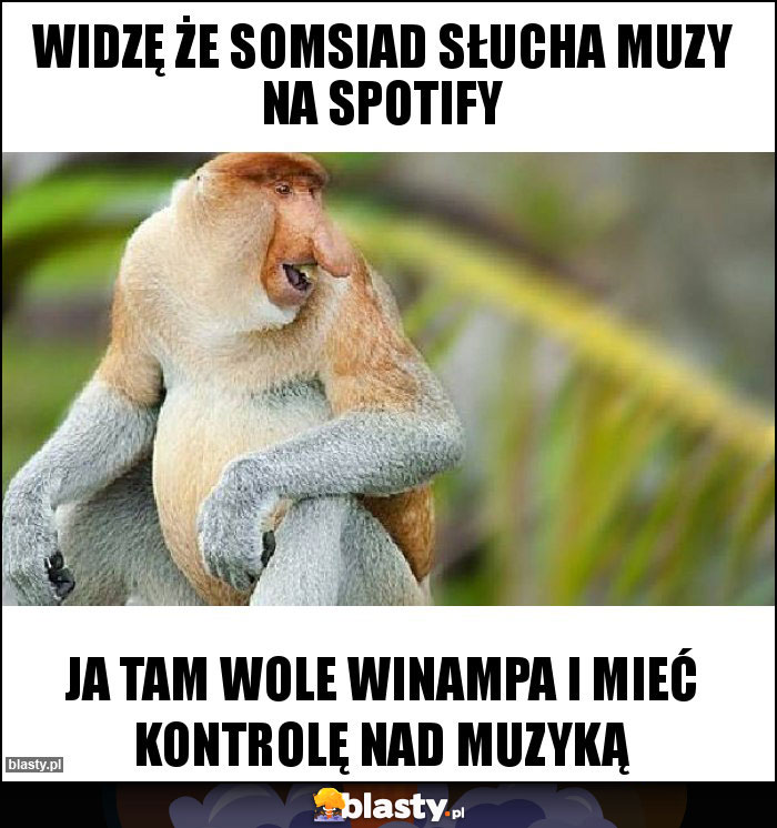 WIDZĘ ŻE SOMSIAD SŁUCHA MUZY NA SPOTIFY