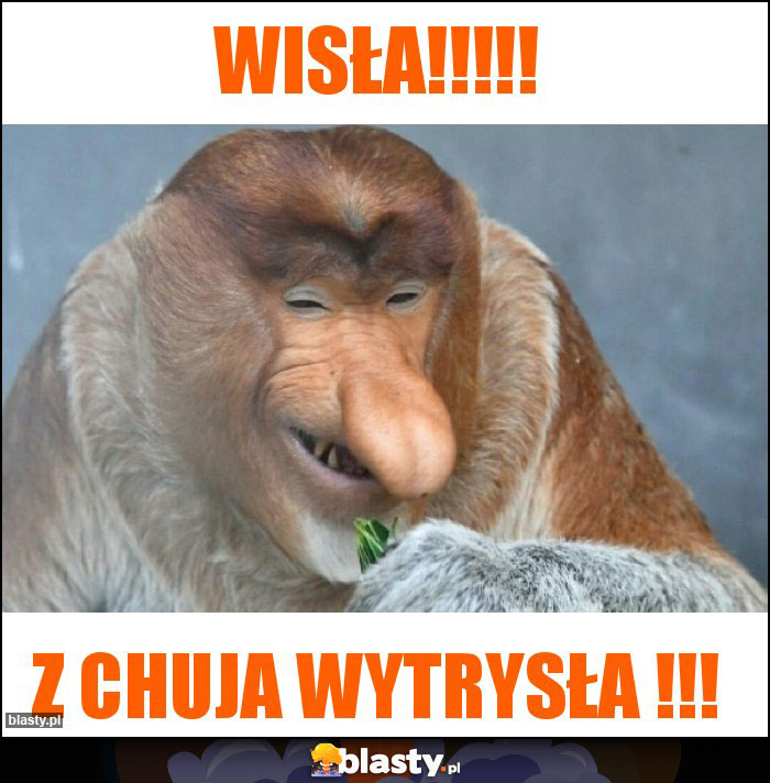 Wisła!!!!!