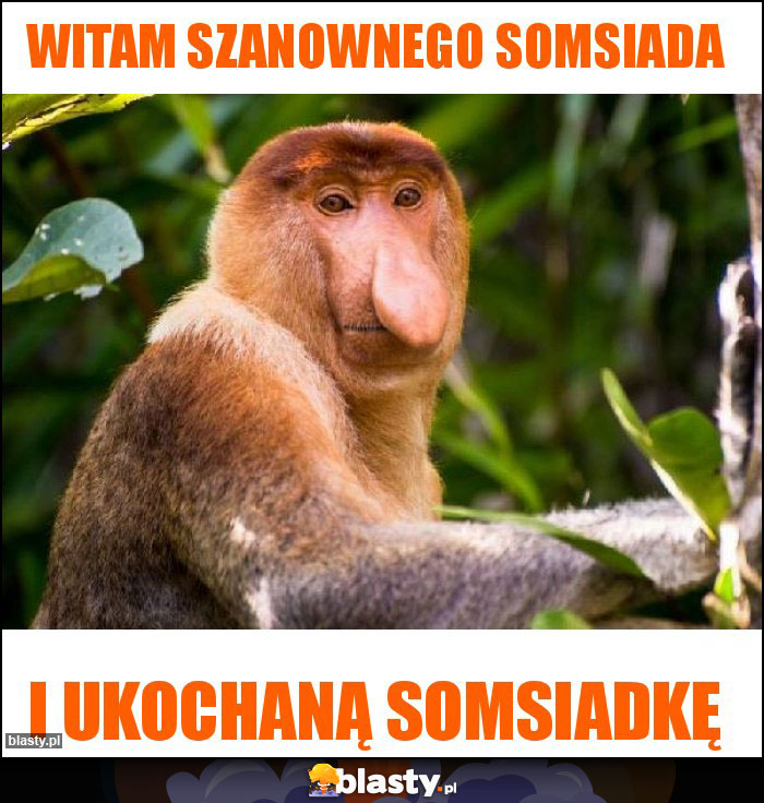 Witam szanownego somsiada