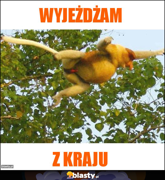 Wyjeżdżam