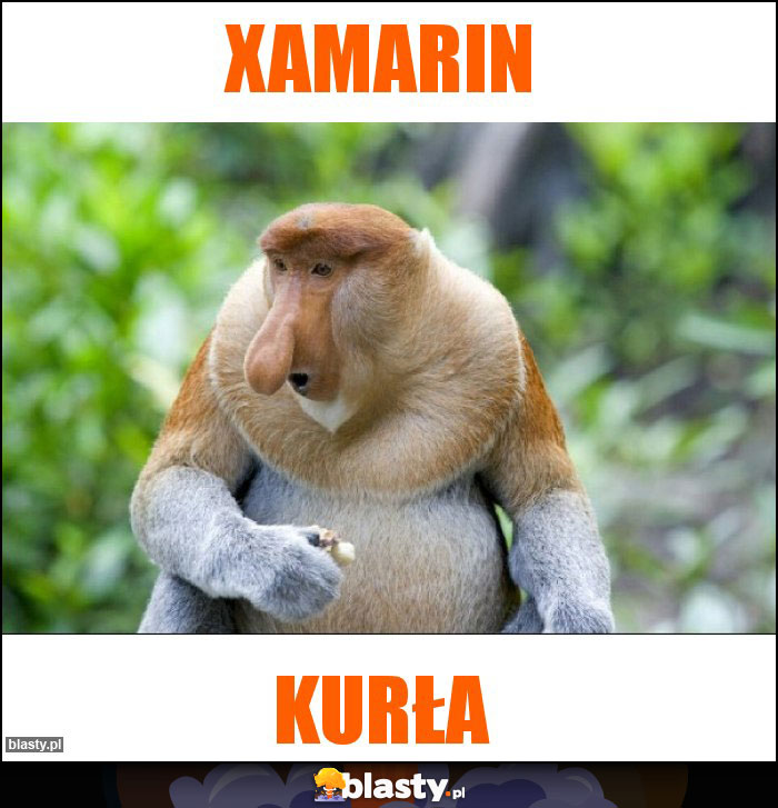 Xamarin