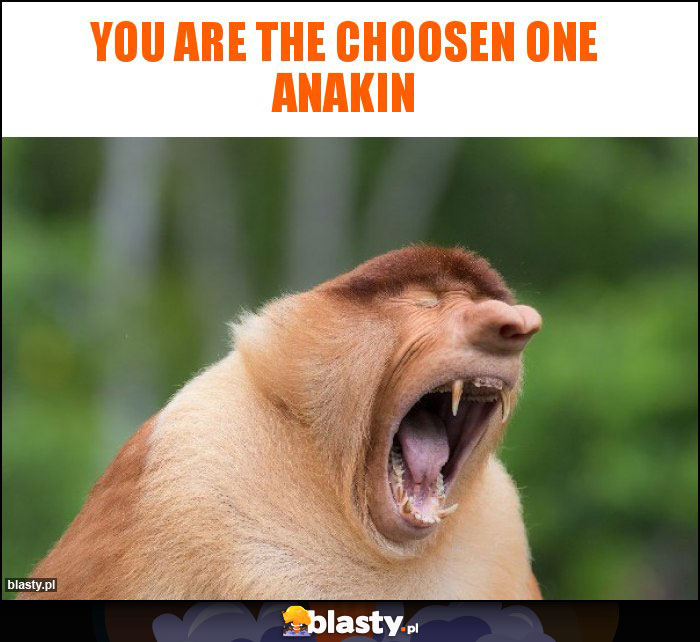 You are the choosen one Anakin