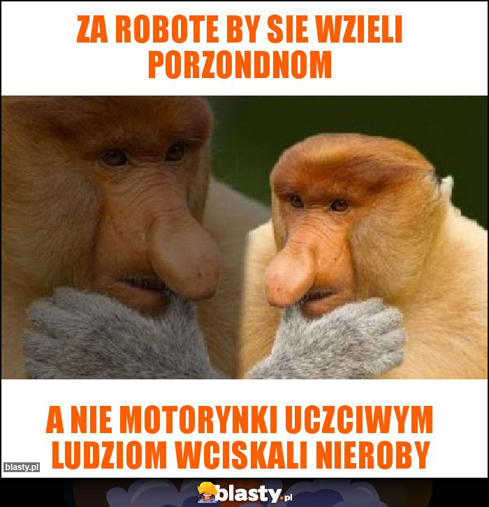 Za robote by sie wzieli porzondnom