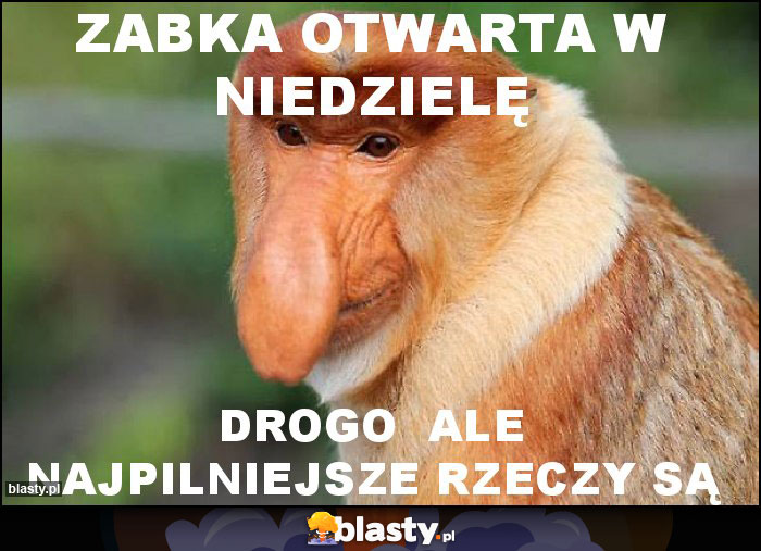 zabka otwarta w niedzielę