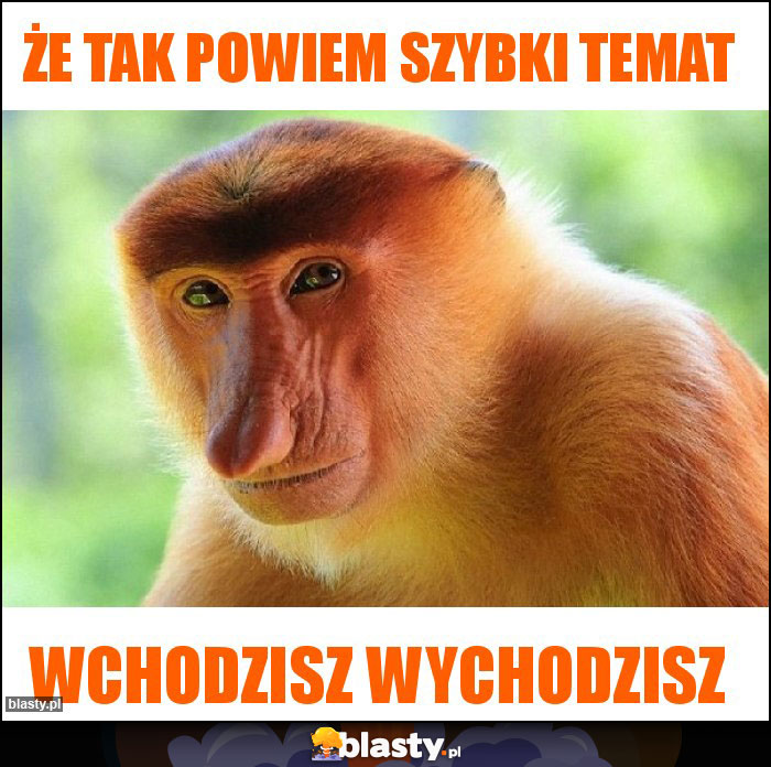 Że tak powiem szybki temat