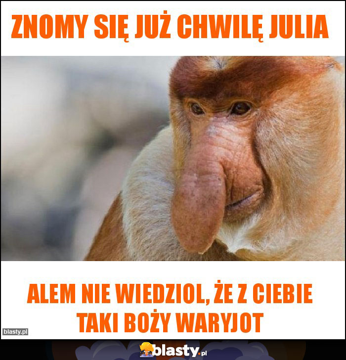 znomy się już chwilę Julia