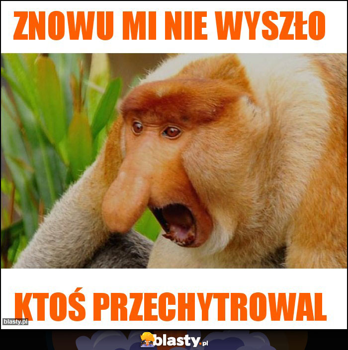 Znowu mi nie wyszło