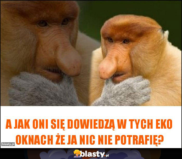 A jak oni się dowiedzą w tych Eko Oknach że ja nic nie potrafię?